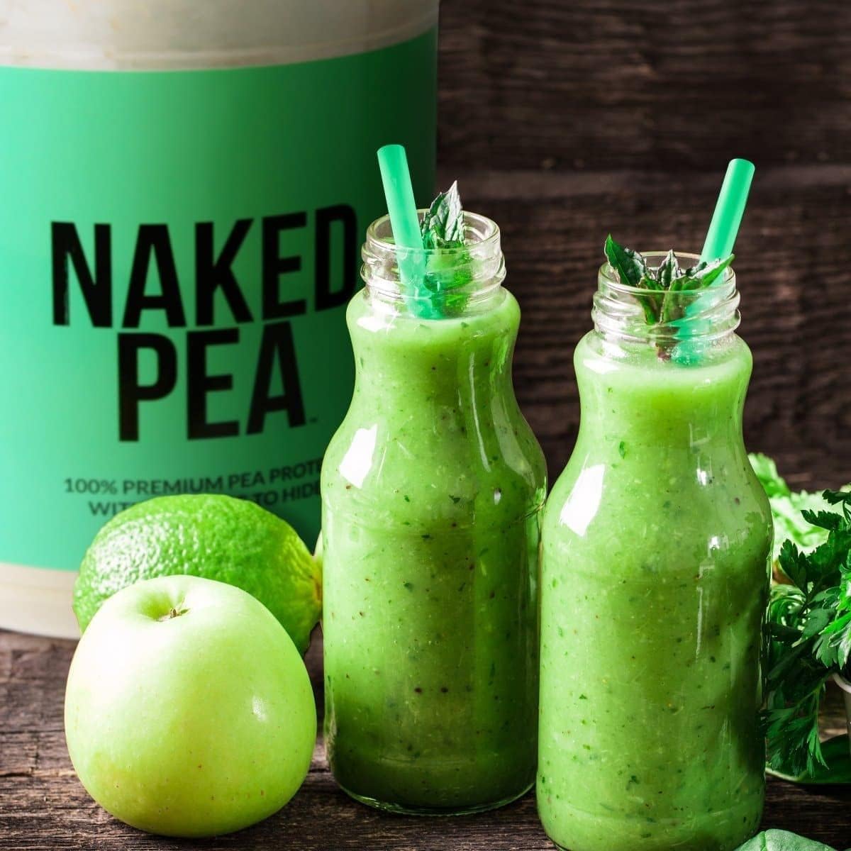 Pea Protein Isolate and Creatine Monohydrate Unflavored L371