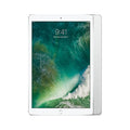 12.9in Tablet 256GB Wi-Fi 4G Silver Renewed X9051