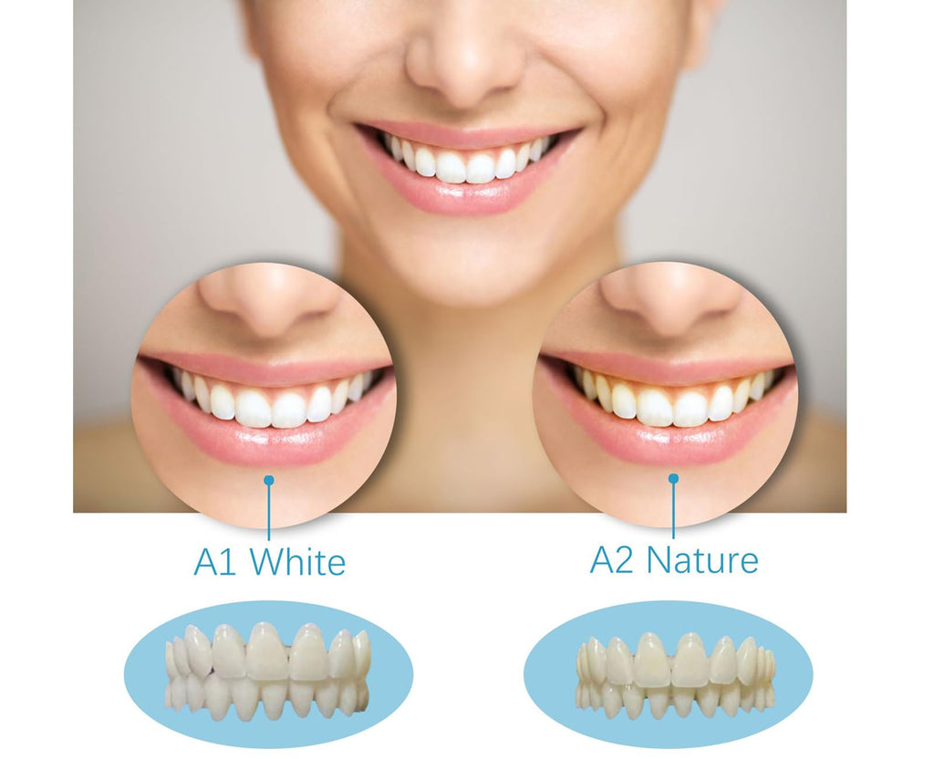 DIY Dentures Kit Y33549