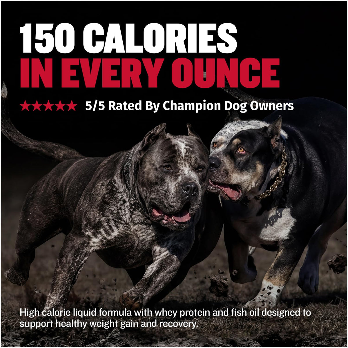 High Calorie Liquid Dog Supplement with Omega-3 & Whey Protein 16 oz L175