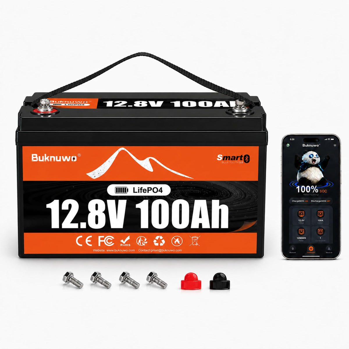 12V 100Ah LiFePO4 Lithium Battery with Bluetooth Q5419
