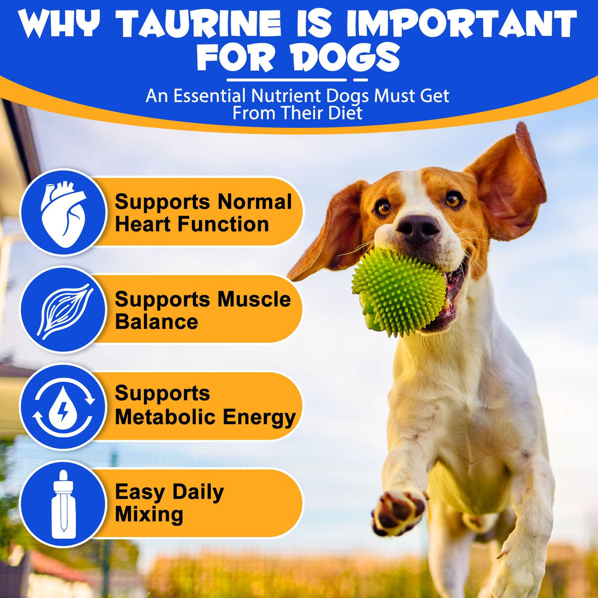 Taurine Liquid Supplement for Dogs 60ml I93610