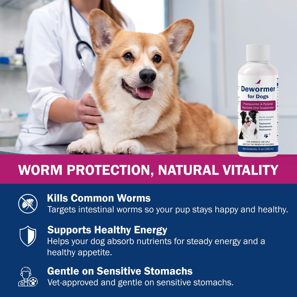 Dogs Dewormer for Tapeworms F657384