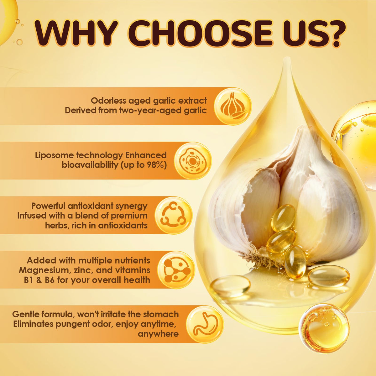Odorless Aged Garlic Extract Capsules with Magnesium, Zinc, Vitamin B, 300 Softgels B3820