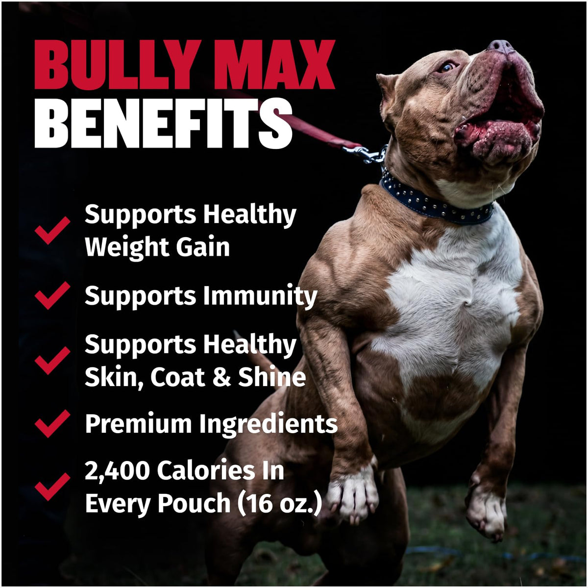 High Calorie Liquid Dog Supplement with Omega-3 & Whey Protein 16 oz L175