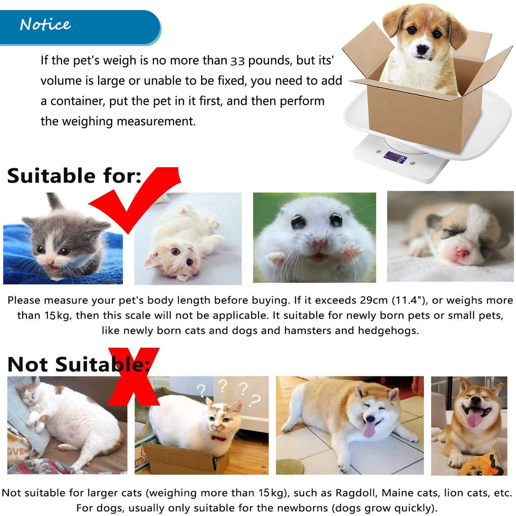 Newborn Kitten & Puppy Weight Scale White 12in x 8in I16509