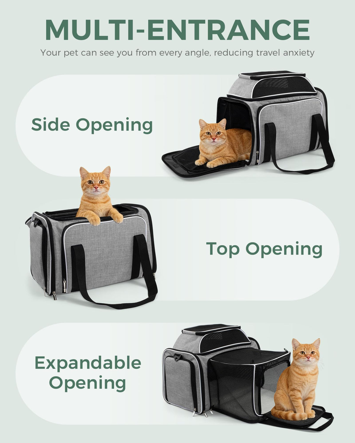 Airline Approved Soft Side Pet Carrier with Fleece Pad A747