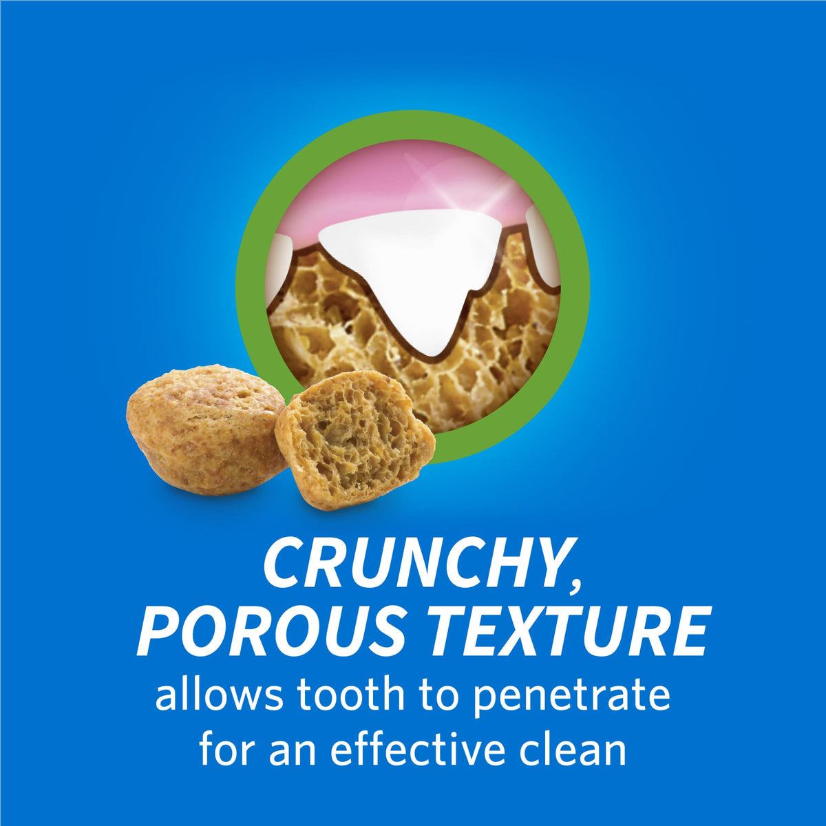 Chicken Flavor Cat Treats 19 oz Pouch C8640