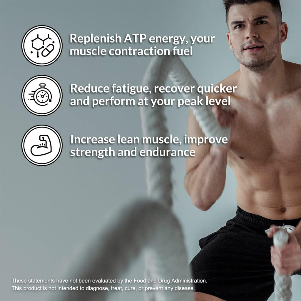 Pea Protein Isolate and Creatine Monohydrate Unflavored L371