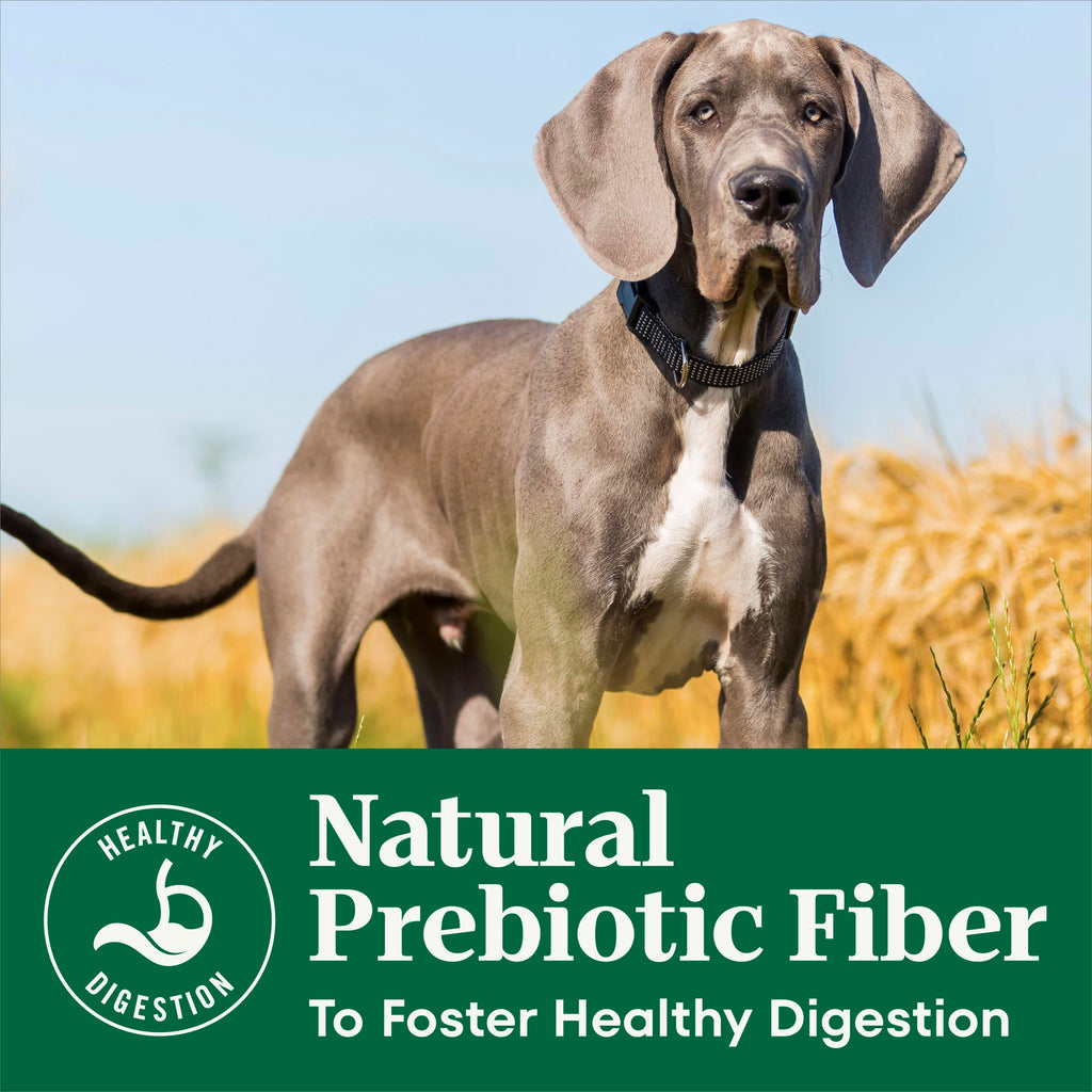 Puppy Dry Dog Food Chicken & Brown Rice 5 lb M979764