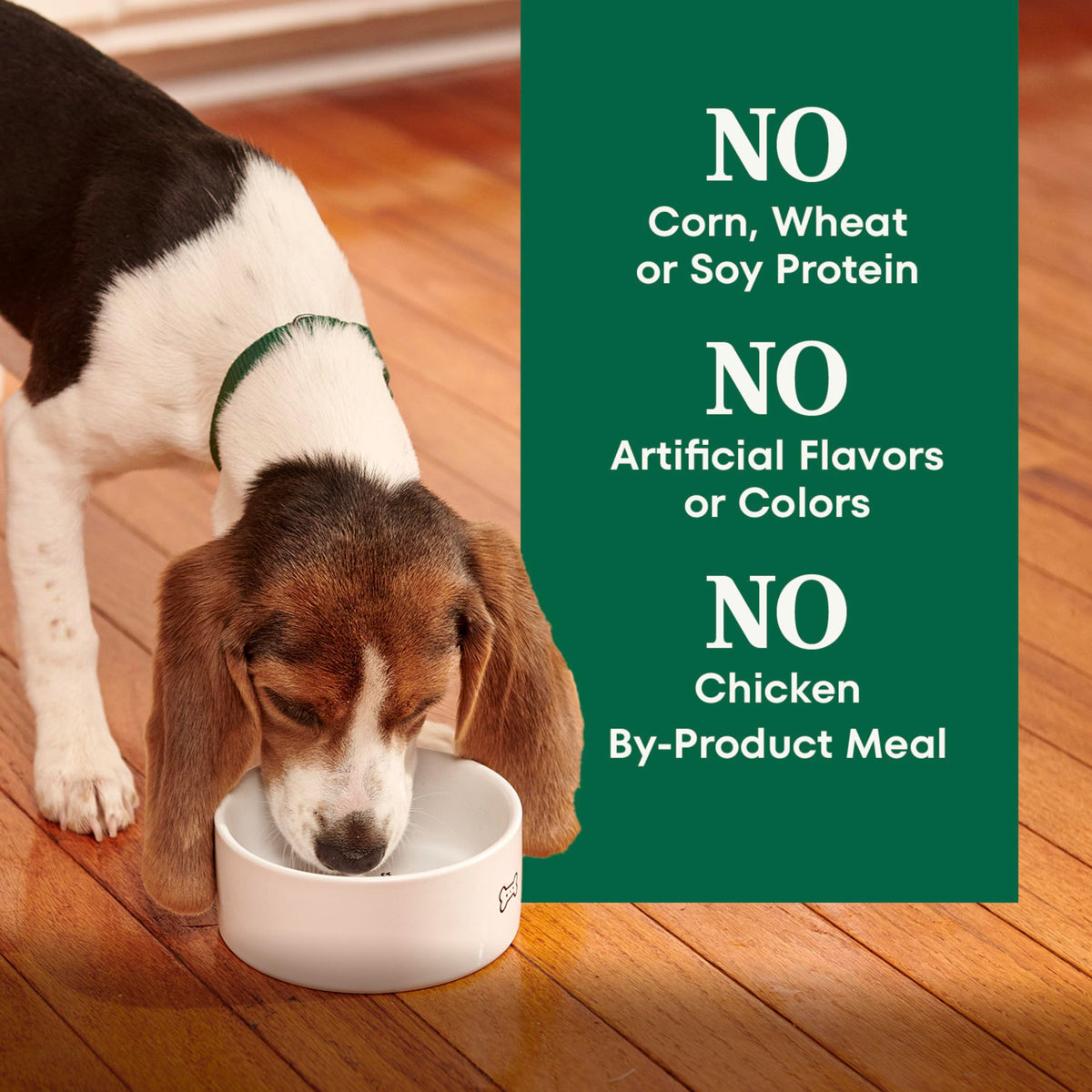 Puppy Dry Dog Food Chicken & Brown Rice 5 lb M979764