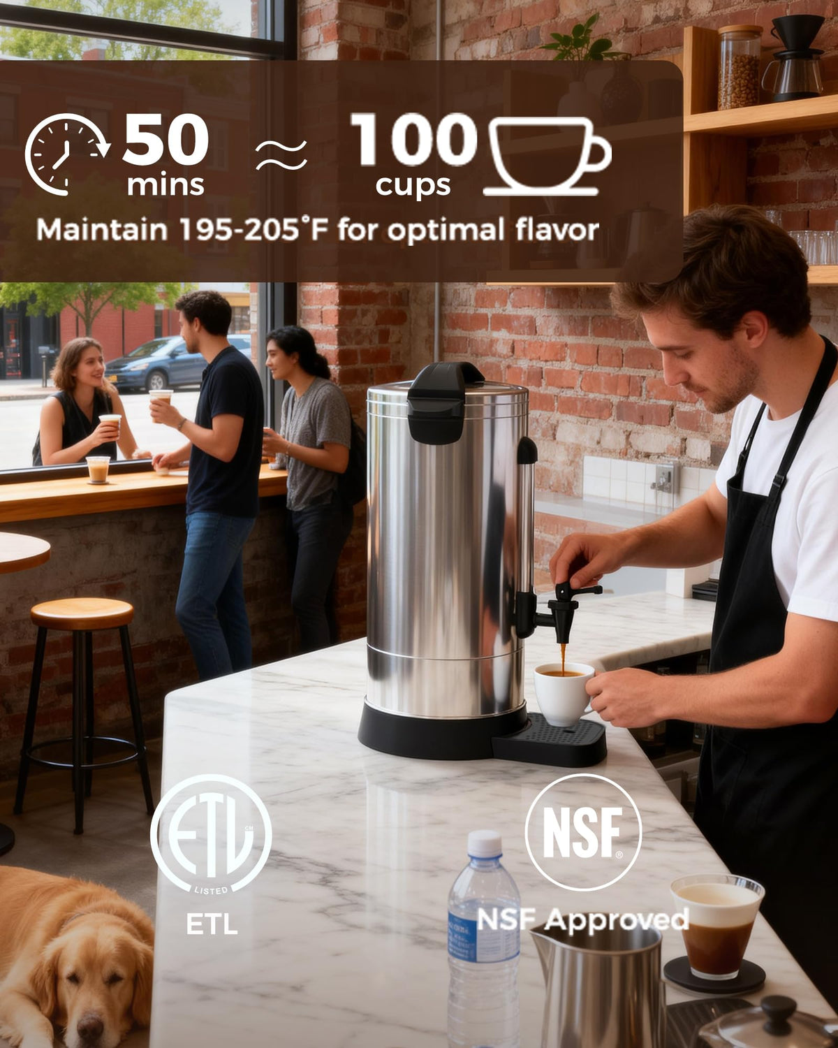 1500W 100 Cup Stainless Steel Commercial Coffee Urn R66898