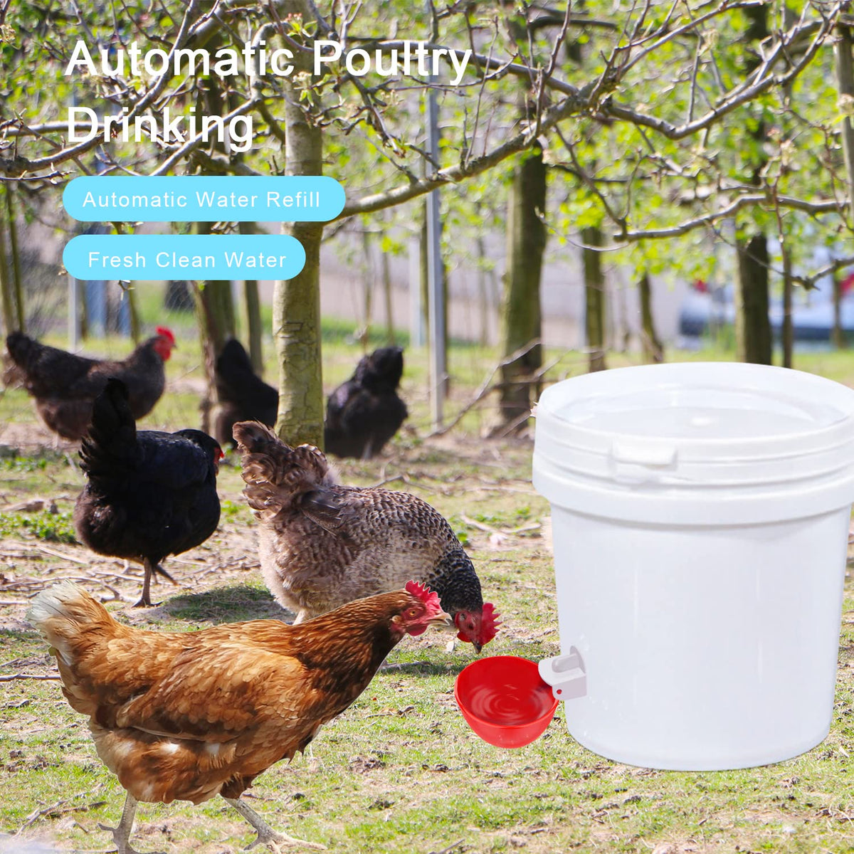 8 Packs Chicken Waterer Cups with Mounting Hole Opener V87276