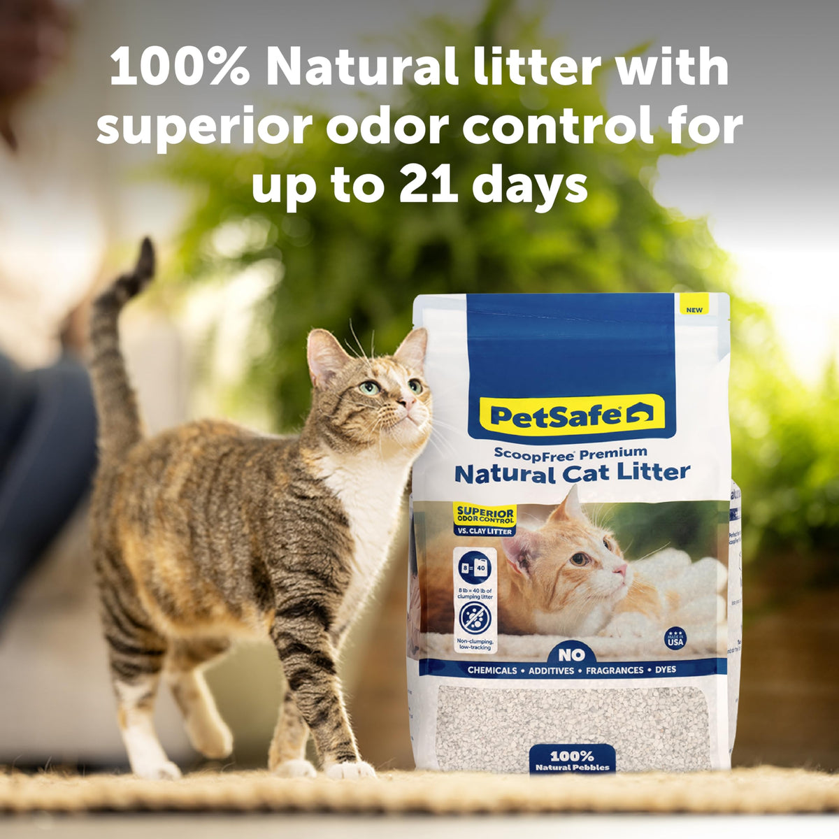 Natural Cat Litter 8 lb Bag S182422