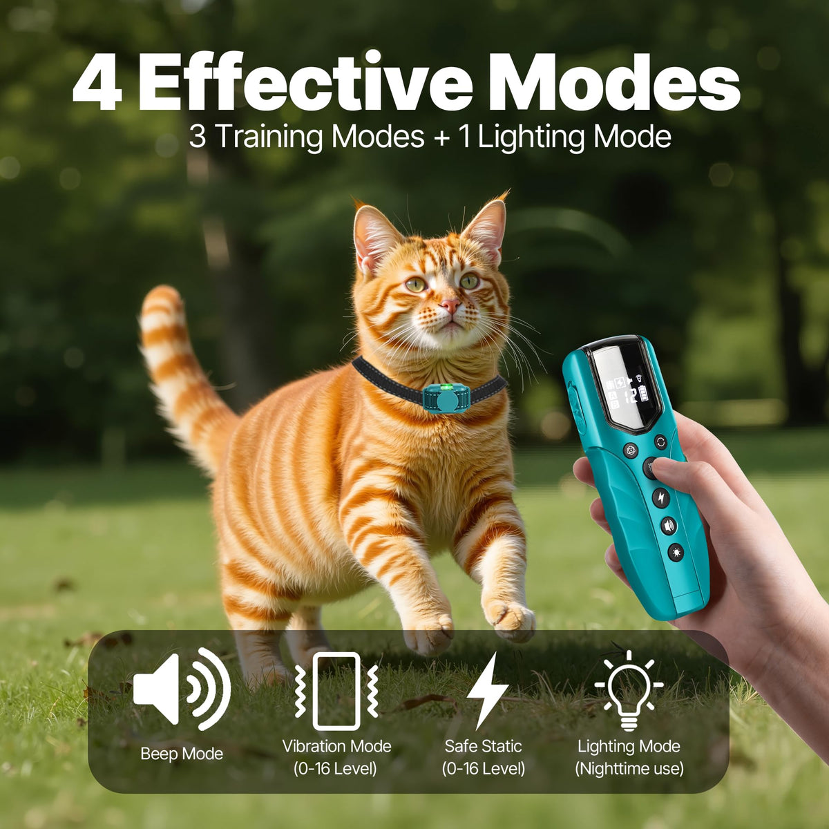 Small Cat Training Collar with Remote T60433