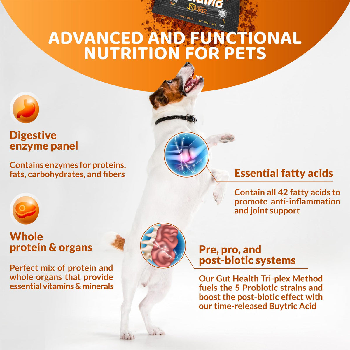 5-in-1 Dog Supplement Powdered Food Topper with Omega 3 Fish Oil 5 lbs M810828