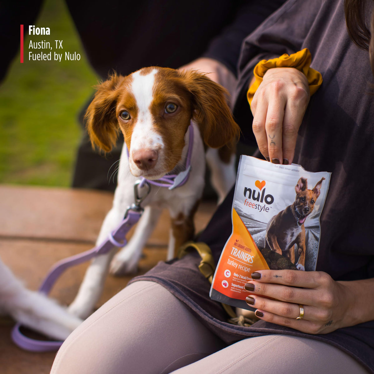 Turkey Recipe Grain-Free Low-Calorie Dog & Puppy Training Treats, 16 Ounce Pouch Q35247