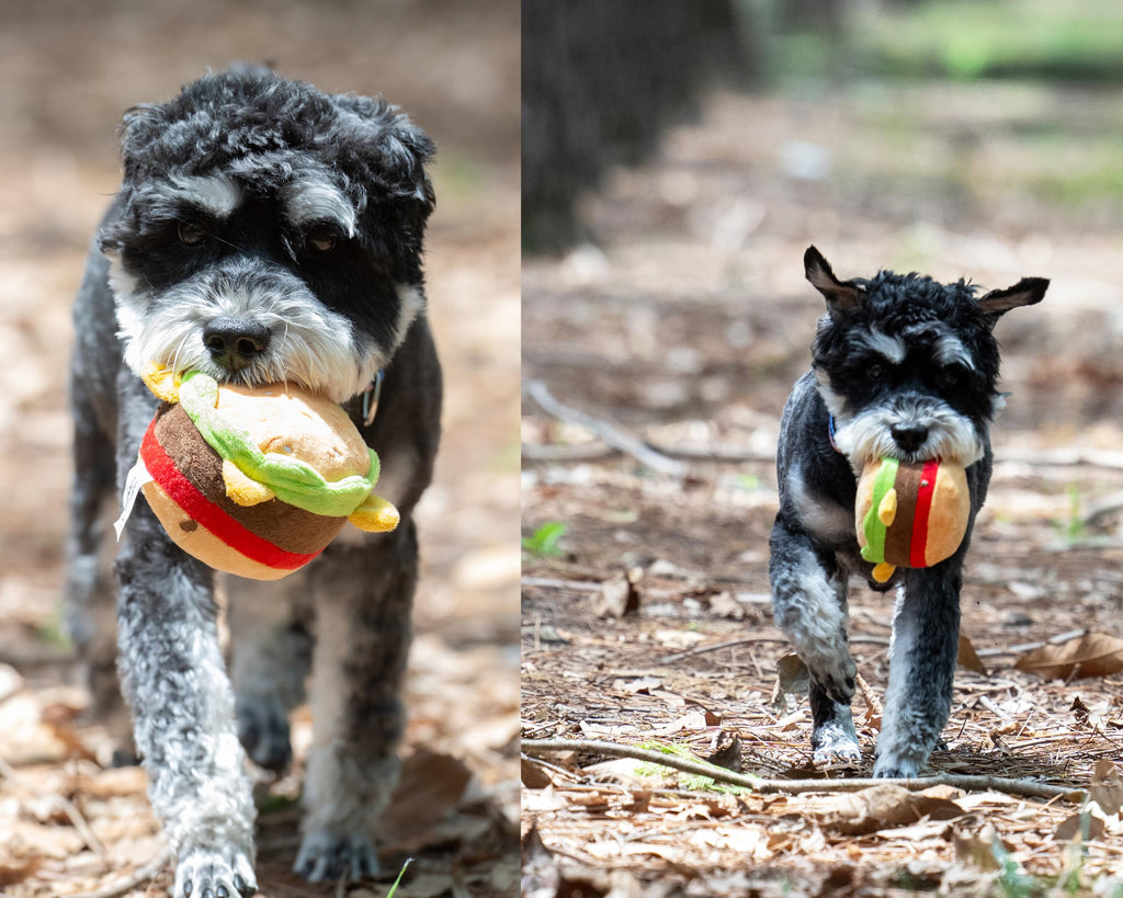 Plush Food Shaped Dog Toy with Squeaker K895